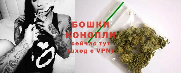 стафф Дмитров