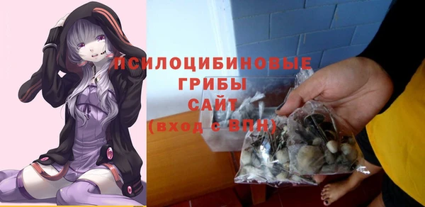 mdpv Дмитровск