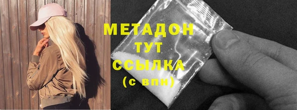 соль ск Дмитриев