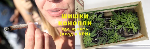 стафф Дмитров