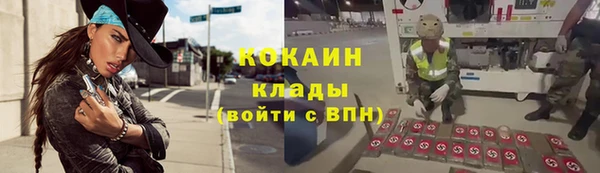 стафф Дмитров