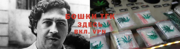 соль ск Дмитриев