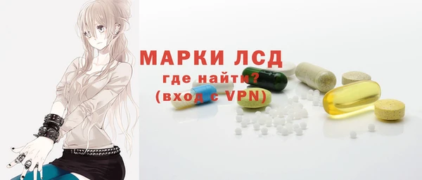 гидра Елабуга