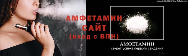 стаф Ельня