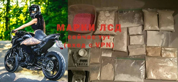 стафф Дмитров