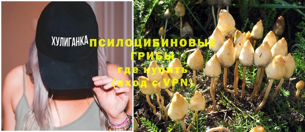 стафф Дмитров