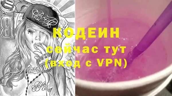 гидра Елабуга
