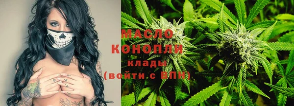 соль ск Дмитриев