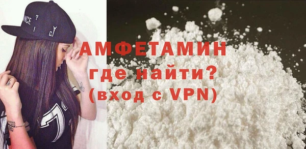 соль ск Дмитриев