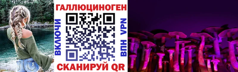 Псилоцибиновые грибы Magic Shrooms где продают блэк спрут рабочий сайт Полевской